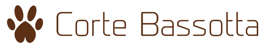 Screenshot 2024-12-19 alle 21.46.38